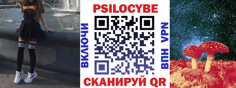 Псилоцибиновые грибы Psilocybine cubensis  Бокситогорск 